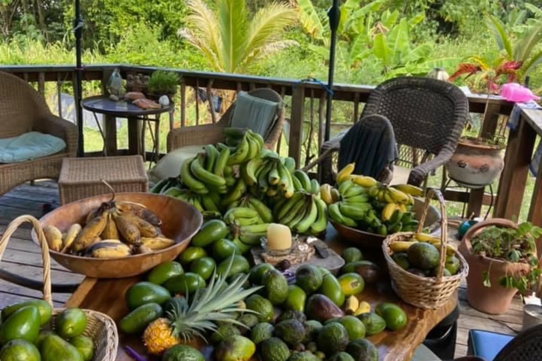 Local harvest and produce at a Red Road farm stand
