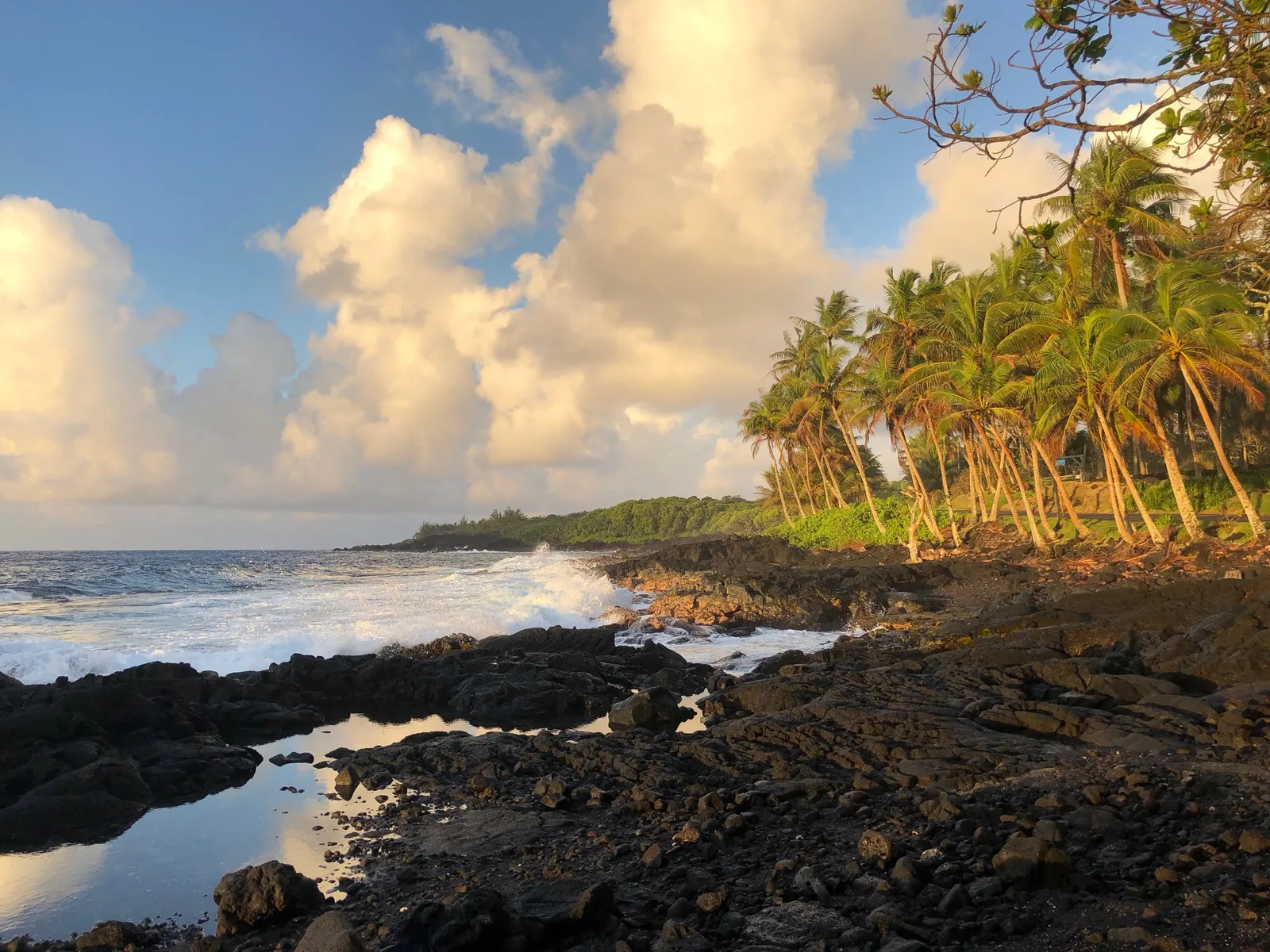 Golden light along the Red Road coastline