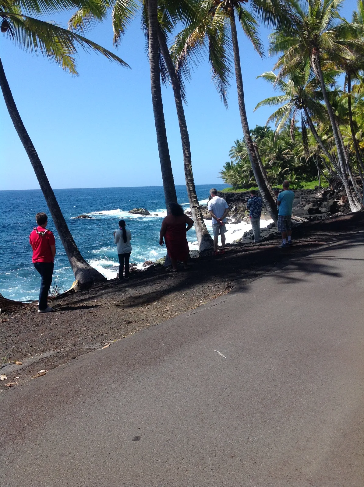 Palm-lined shoreline gathering place
