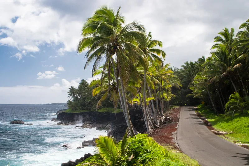 The Red Road following the Puna Makai coastline between palms and the ocean