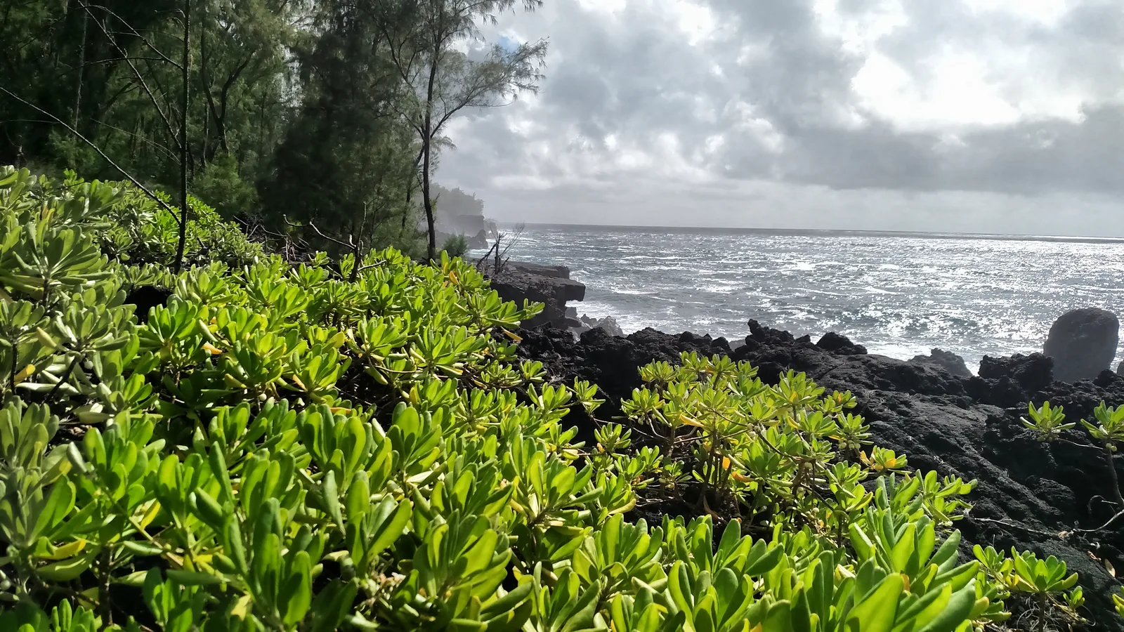 Green shoreline overlooking the Red Road coast
